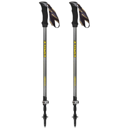 Bețe de trekking Vipole Climber As Ql gri/negru