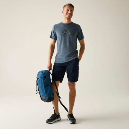 Pantaloni scurți bărbați Regatta Bendrick Shorts