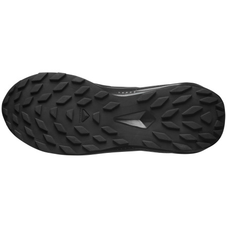 Încălțăminte bărbați Salomon Alphaglide Gore-Tex