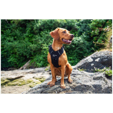 Ham pentru câini Mountain Paws Dog Harness