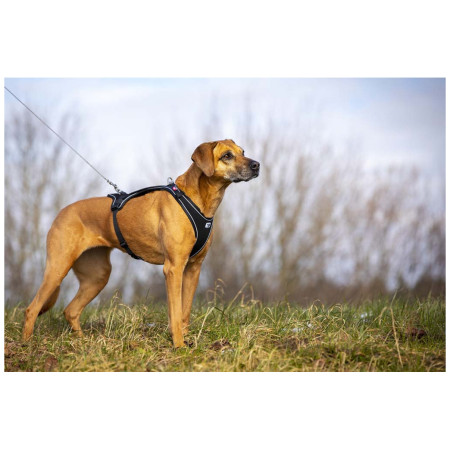 Lesă pentru câini Curli Ultra Strong Pocket Leash