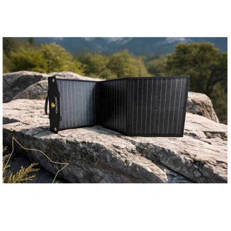 Panou solar Viking Technology Viking L60 PD