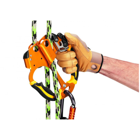 Blocator Petzl Ascentree