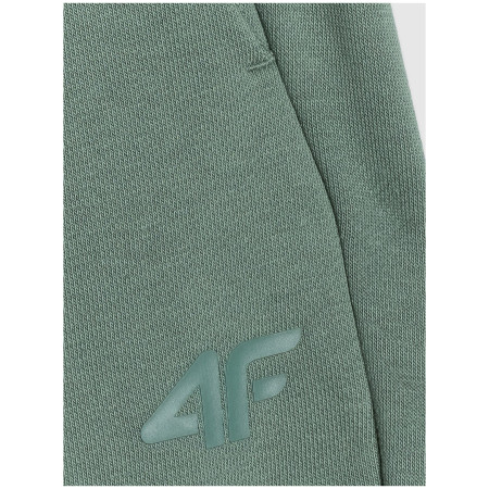 Pantaloni jogging bărbați 4F Trousers Cas M1272