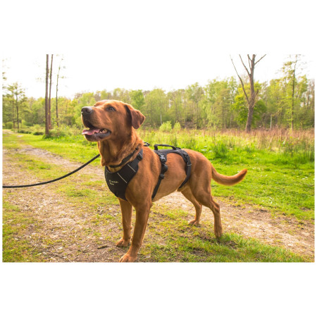 Ham pentru câini Mountain Paws 3-Strap Dog Harness