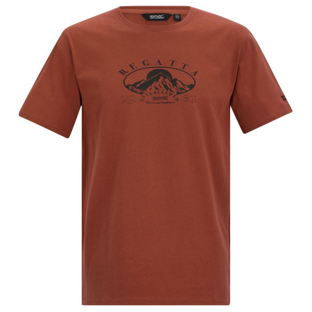 Tricou bărbați Regatta Cline IX maro Brick