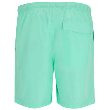 Pantaloni scurți bărbați Regatta Mackleyna Swim Short