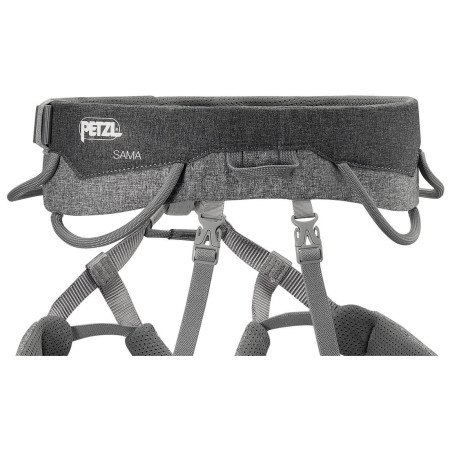 Ham Petzl Sama (2024)