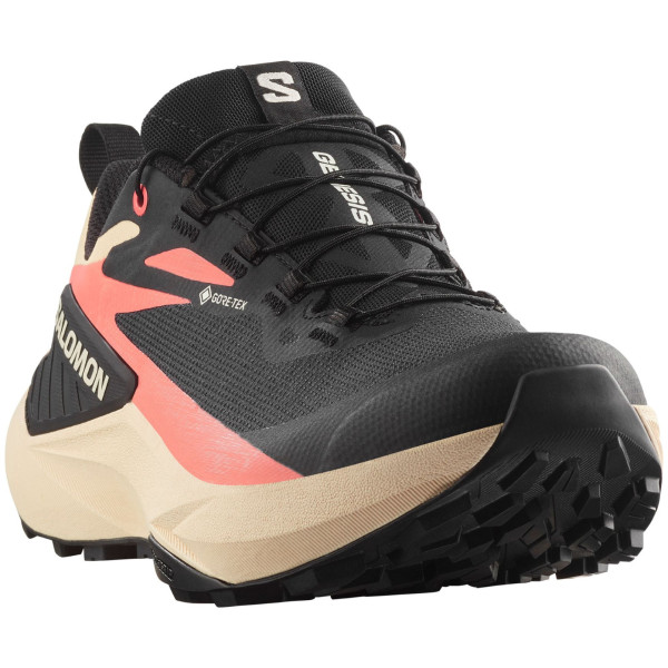 Încălțăminte femei Salomon Genesis Gore-Tex