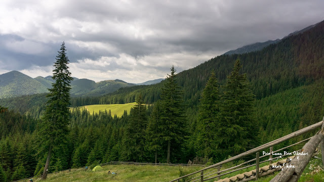 Prima Intalnire cu Piatra Craiului - Traseul Spre Piatra Mica si ... Crucea din Carpati