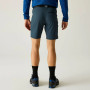 Pantaloni scurți bărbați Regatta Xert Stretch Shorts