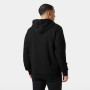 Hanorac bărbați Helly Hansen HH Box Hoodie 2025