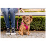 Lesă pentru câini Curli Stretch Comfort Leash