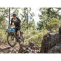 Portbagaj spate bicicletă Topeak Tetrarack M2