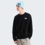 Hanorac bărbați The North Face M Evolution Box Nse Regular Crew