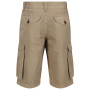 Pantaloni scurți bărbați Regatta Shorebay Short