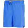 Pantaloni scurți bărbați Regatta Mackleyna Swim Short