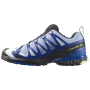 Încălțăminte bărbați Salomon Xa Pro 3D V9 Icon