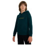 Hanorac copii 4F Sweatshirt M1959