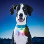 Pandantiv luminos Nite Ize SPOTLIT XL