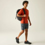 Pantaloni scurți bărbați Regatta Xert Stretch Shorts