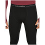 Indispensabili funcționali bărbați Icebreaker Men 300 MerinoFine™ Polar Leggings