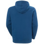 Hanorac bărbați Helly Hansen HH Logo Hoodie