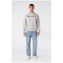 Hanorac bărbați Champion Crewneck Sweatshirt M INC