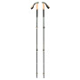 Bețe de trekking Black Diamond Trail Cork Trekking Poles