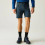 Pantaloni scurți bărbați Regatta Xert Stretch Shorts