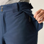Pantaloni bărbați Dare 2b Baseplate Insulated Pant