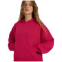 Hanorac femei 4F Sweatshirt F1887
