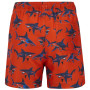 Costum de baie copii Regatta Skander RusOranShark