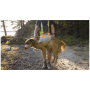 Ham pentru câini Ruffwear BackTrak™ Dog Evacuation Kit