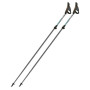 Bețe Nordic Walking Fizan NW Carbon Pro Impulse