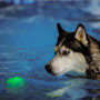 Jucărie pentru câini Nite Ize GlowStreak Wild LED Ball