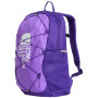 Culoare: violet/grafit