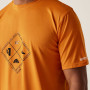 Tricou bărbați Regatta Fingal Stretch