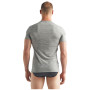 Tricou bărbați Icebreaker M Anatomica SS Crewe