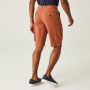 Pantaloni scurți bărbați Regatta Shorebay Short