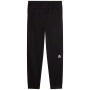 Pantaloni jogging bărbați The North Face M Mountain Athletics Fleece Pant 2.0