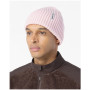 Căciulă Salomon Snowbird Beanie U