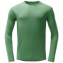 Mărime: L / Culoare: verde