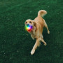 Jucărie pentru câini Nite Ize Glowstreak Rechargeable Led Ball