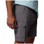 Pantaloni scurți bărbați Columbia Silver Ridge™ Utility Cargo Short