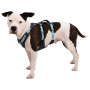 Ham pentru câini Ruffwear Flagline™ Harness