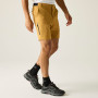 Pantaloni scurți bărbați Regatta Anti-Insect Travel Light Shorts
