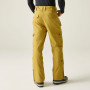 Pantaloni bărbați Dare 2b Baseplate Insulated Pant