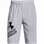 Pantaloni scurți copii Under Armour Prototype 2.0 Logo Shorts-GRY gri deschis Gray