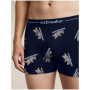 Boxeri funcționali bărbați Icebreaker Men M 150 Anatomica Boxers BearTourAOP